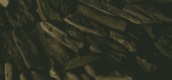 376424140163